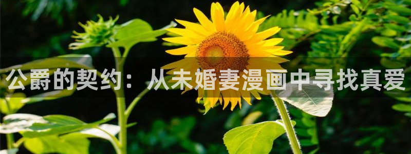 51漫画app免费观看