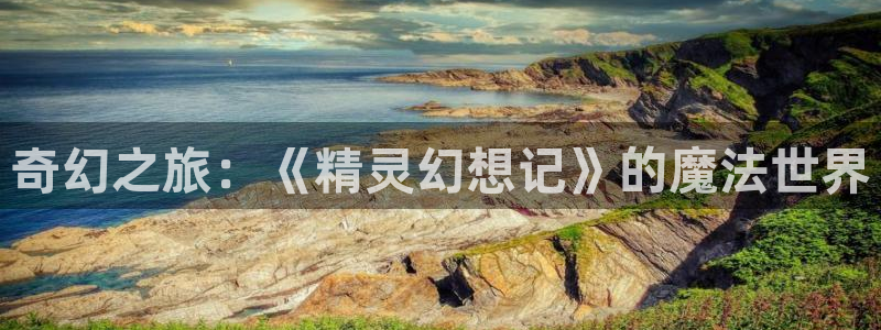 51漫画呦呦咨询网：奇幻之旅：《精灵幻想记》的魔法世界