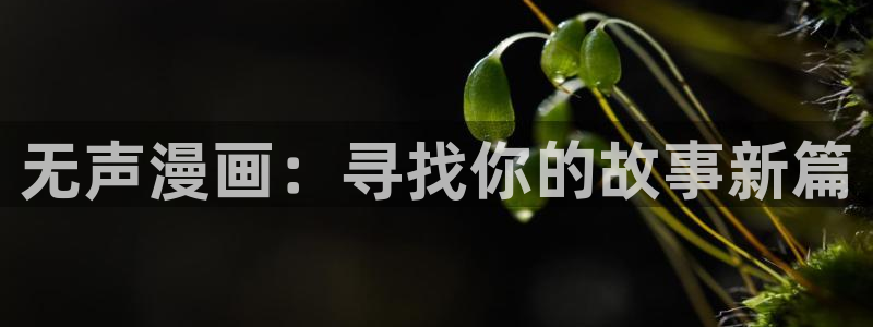 免费51漫画网站